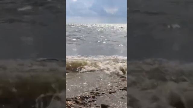 Богудония спуск к морю #путешествия #богудония #азовскоеморе #море #таганрог смотреть онлайн