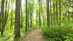 Музей-заповедник Д.И. Менделеева и А.А. Блока - усадьбы Шахматово, Тараканово и Боблово