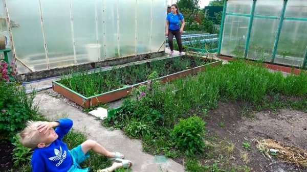 Лера и Лёва не хотят помогать Маме на даче