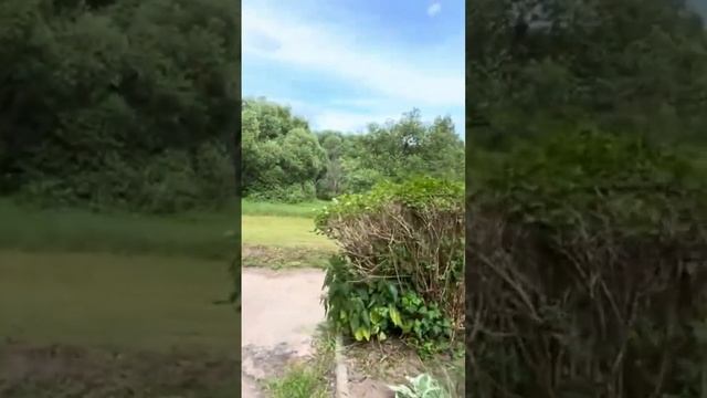 Старую ГЭС ремонтируют #путешествия #гэс #подмосковье #travel смотреть онлайн