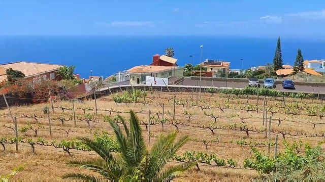 Тенерифе, день 11-й: Винодельня Casa del Vino | Tenerife, España - Spain смотреть онлайн