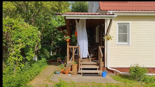 Первый день лета и День рождения Муси - Меняем картинку окружающего мира или КОТоБудни от 01.06.2024 смотреть онлайн