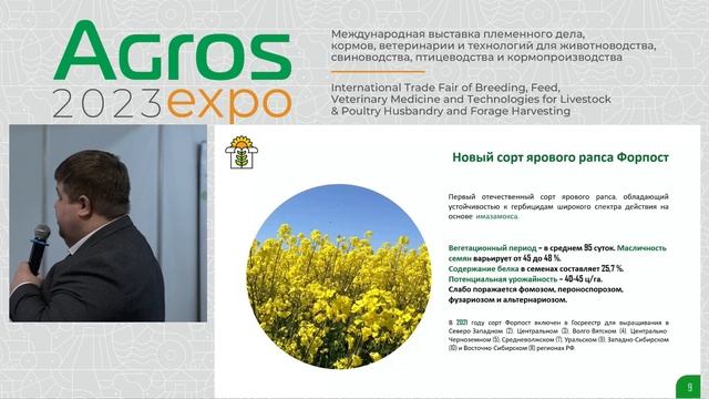 Возможности расширения использования рапса и продуктов его переработки в кормлении с/х животных смотреть онлайн