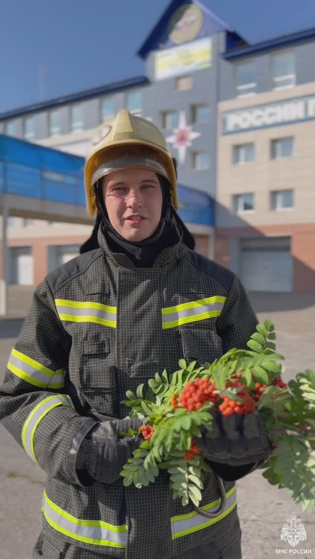 МЧС предупреждает: не жгите костры рябин смотреть онлайн