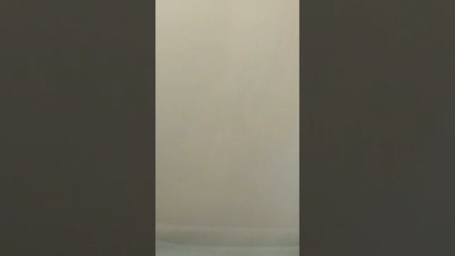 СЫР смотреть онлайн