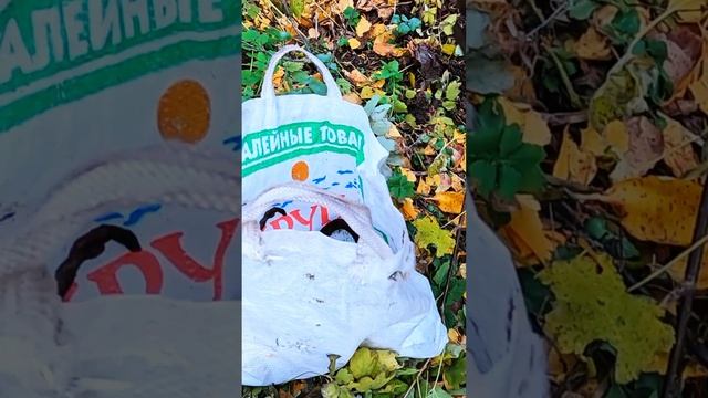 Два кусочка латуни смотреть онлайн