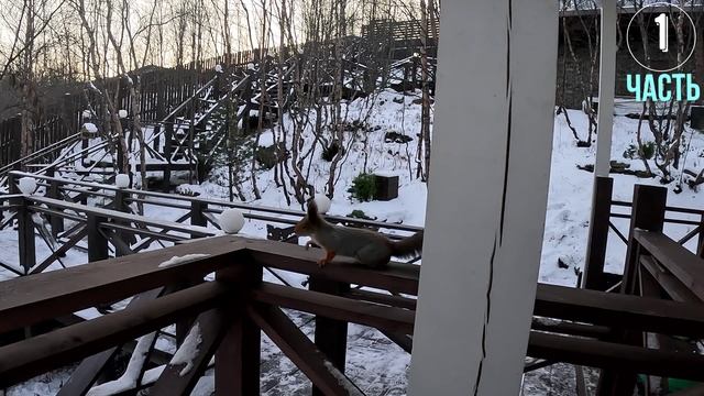 Мурманск, 24 г, Часть1