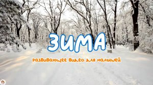 Зима. Времена года для детей. Карточки Домана. Развивающее видео.