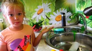 Лера и забытые серии про правила поведения