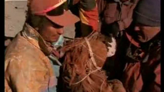 Reading Exp - Unit - 3B INCA смотреть онлайн