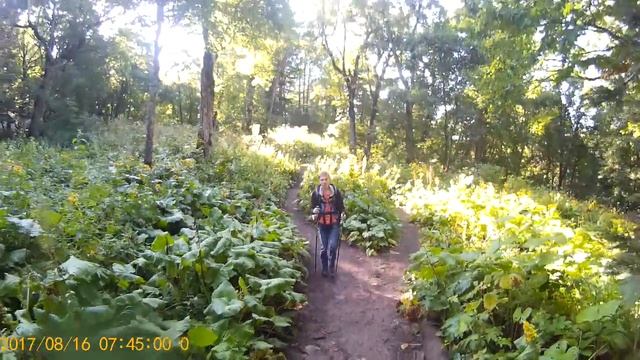 2017 0816 074453 001 смотреть онлайн