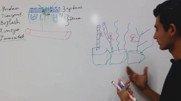 Biriktiruvchi to'qima 1-qism | Introduction to connective tissue
