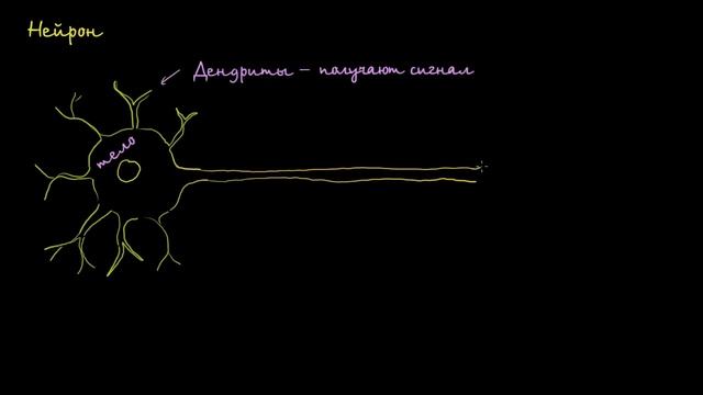 [KhanAcademy] Анатомия нейрона смотреть онлайн