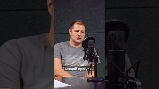 Как чистить уши собакам смотреть онлайн