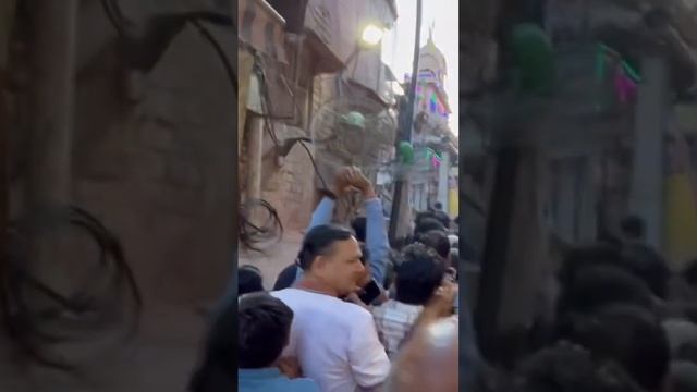 Обезьяны контролируют индийскую толпу #путешествия #индия #travel #вриндаван #обезьяна смотреть онлайн