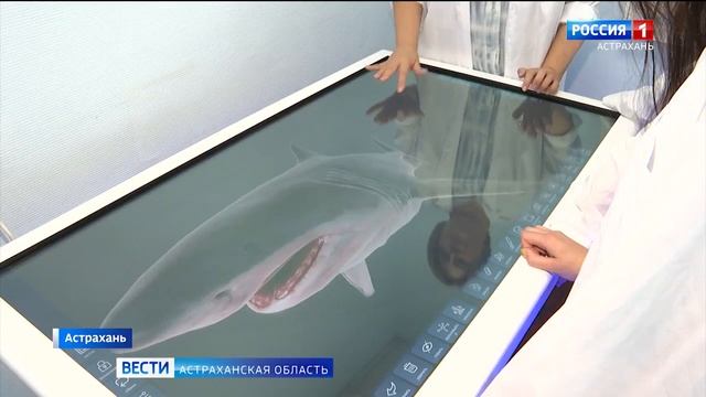 Астраханские студенты изучают анатомию рыб с помощью интерактивного атласа (видео ГТРК «Лотос») смотреть онлайн