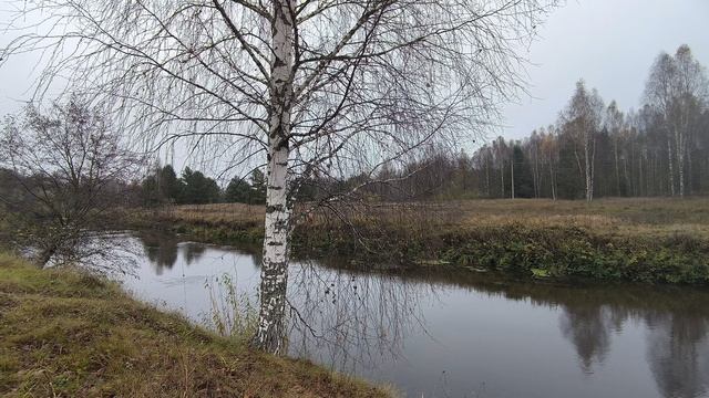 Река Уводь. ч.7. Октябрь 2024 смотреть онлайн