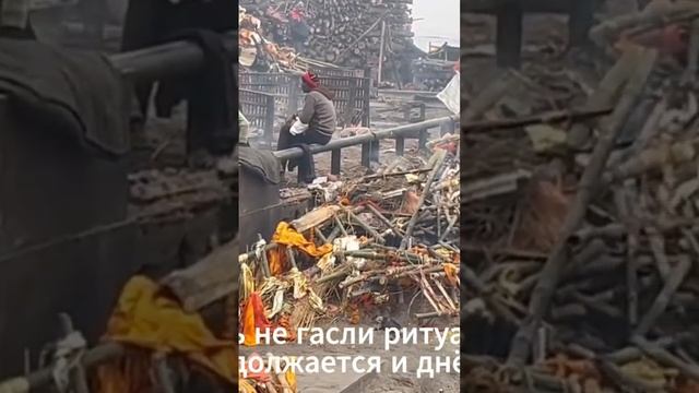 Горят костры Варанаси #колесосансары #варанаси #шива #буддашакьямуни #путешествия #ганг #travel смотреть онлайн