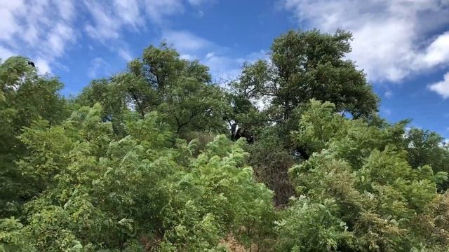 БОГУДОНИЯ | тайны трущоб Таганрога | ПУТЕШЕСТВИЯ ПО РОССИИ смотреть онлайн