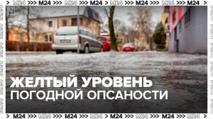 Желтый уровень погодной опасности объявили в Москве до утра 6 ноября - Москва 24