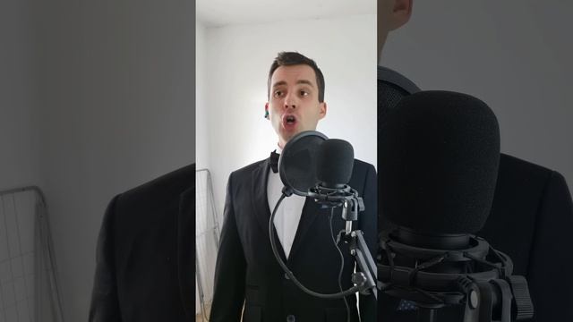 Владимир Кулишов спел песню из "Ну, погоди!" — Чёртово колесо смотреть онлайн