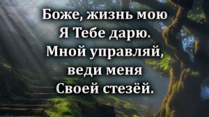 № 250 Пусть жизнь моя как яркий свет _ Караоке с голосом _ Христианские песни _