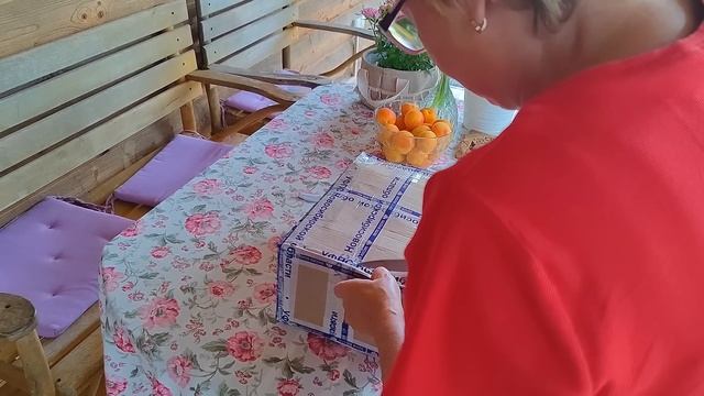 Идеальный мужчина - что это такое ☝️ или КОТоБудни от 23 июля 2024 г. смотреть онлайн