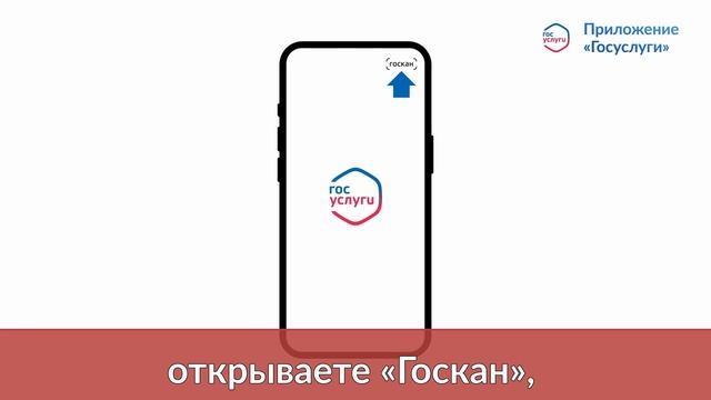 МФЦ Воронежская область