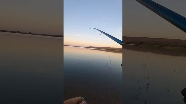 Рыбалка на поплавок . Рыбалка 2024 . Ловля леща на поплавок . Рыбалка осенью . Ловля леща осенью . смотреть онлайн