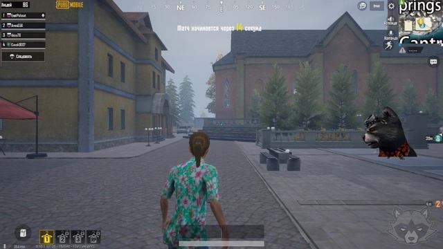 Pubg Mobile с Енотом Полосатом. Коротенько! Тестим анимацию вебки смотреть онлайн