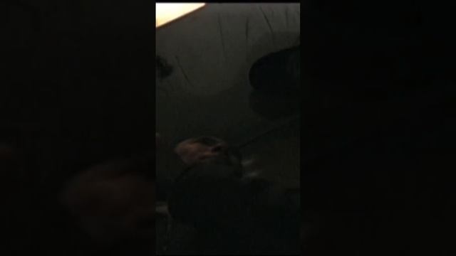 Мы зачем сюда приехали? #фильм #кино #триллер #лифтымоегогорода смотреть онлайн