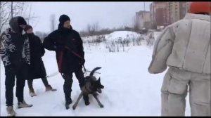 Семейный Кинбой.  Катя отомстила за себя и своих мужичков.