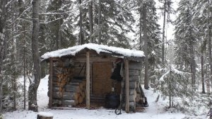 ЖИВЁМ В ТАЁЖНОЙ ИЗБЕ. ОТКРЫВАЮ КАПКАНЫ НА ПУШНИНУ.ПОВЕЗЛО С ПОГОДОЙ