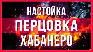 Перцовка настойка за 6 часов