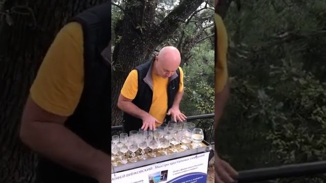 Игра на стеклянных бокалах вальс Грибоедов #путешествия #музыка #грибоедов #музыкадлядуши #музика смотреть онлайн