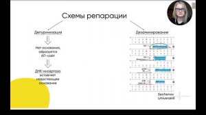 Биохимия | Матричные биосинтезы. Репарация ДНК
