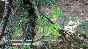 Здравствуй, суббота - христианское караоке (4K)