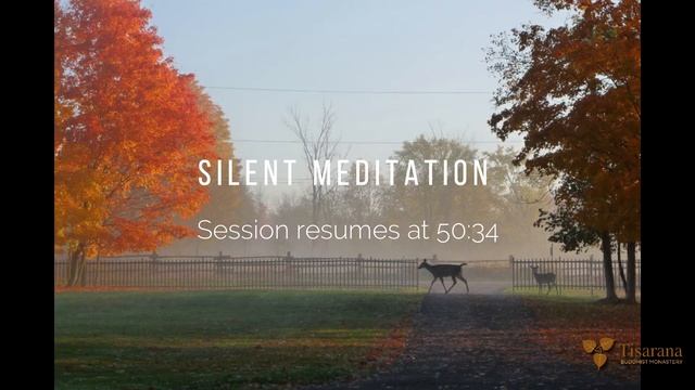 Angel Group Retreat Day 01 - Session 02 | Luang Por Viradhammo | 17 Jul 21 смотреть онлайн