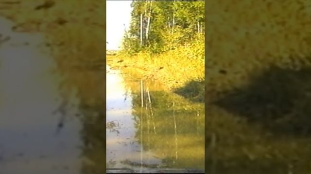 Аномальная зона Молебка 1996 год #путешествия #молебка #фильм #пришельцы смотреть онлайн