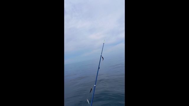 Отмечаем день рождения на рыбалке смотреть онлайн