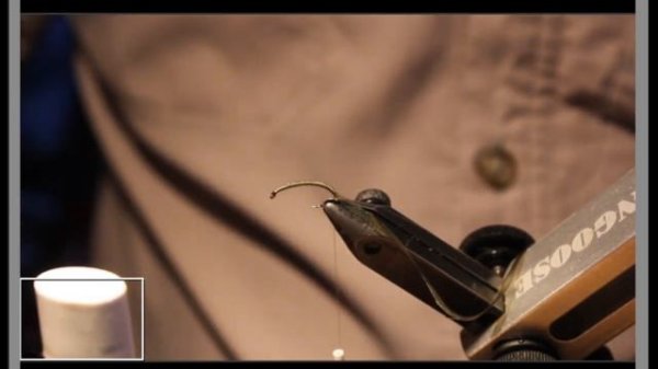 Трансляция по вязанию свободно живущего ручейника и чех нимфы