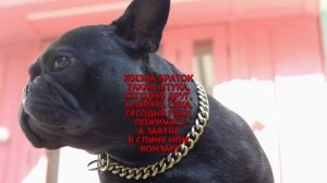 Жизнь браток такая штука