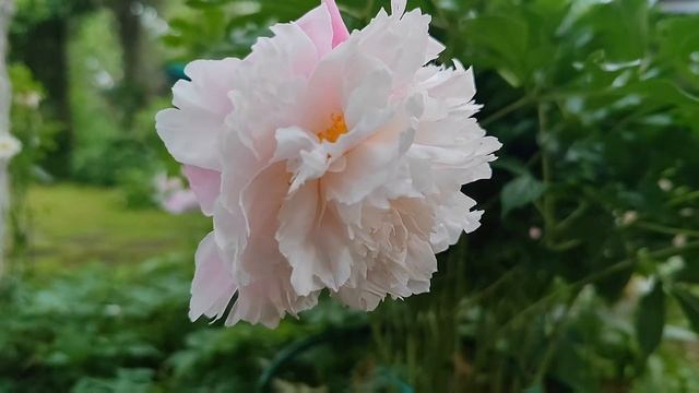 Дождь, ливень и гроза нам не страшны - потому, что, как всегда, весело работаем и дружно живём! ☝️ смотреть онлайн