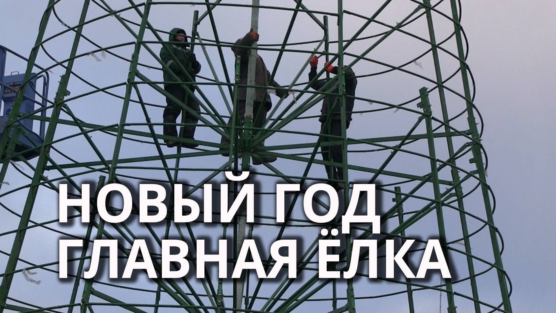 В Саратове началась установка главной новогодней елки смотреть онлайн