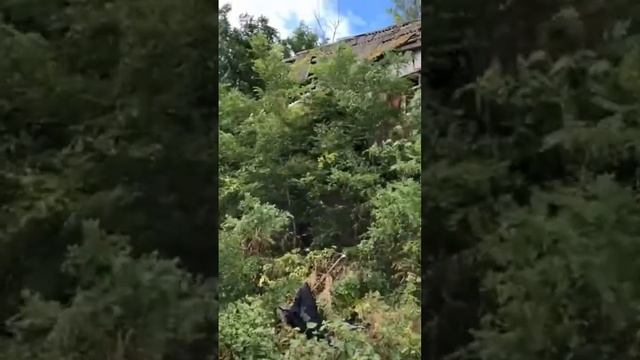 Богудонию смывает Азовское море #путешествия #море #богудония #таганрог смотреть онлайн