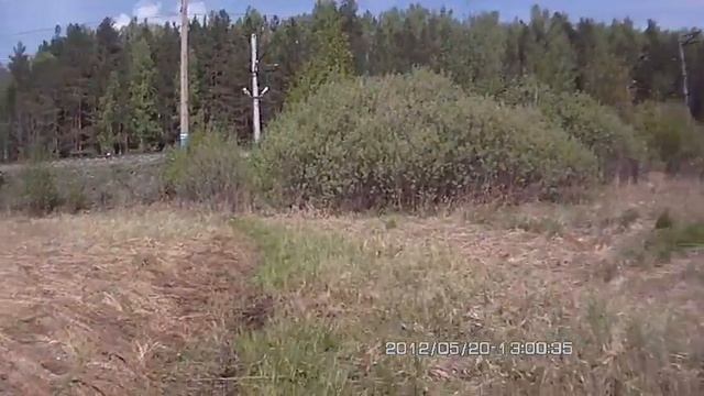 Заболоченная тропинка смотреть онлайн
