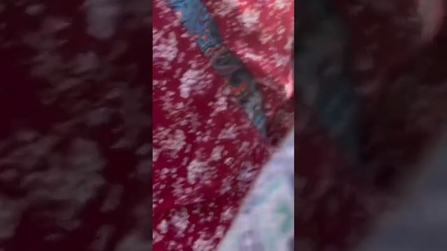 В храме Кришны во Вриндаване запрещено снимать #путешествия #индия #travel #кришна #вриндаван смотреть онлайн