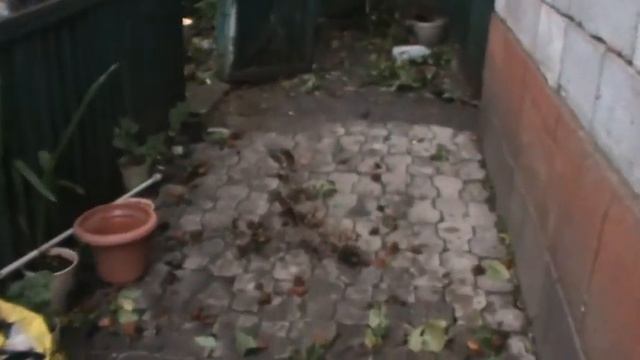 Мариуполь 24 сентября - Сильный ветер. Удар стихии. Ураган