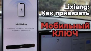Как привязать мобильный ключ к Лисян (Li-Auto)