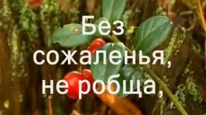 Любовь живет не для себя (караоке)